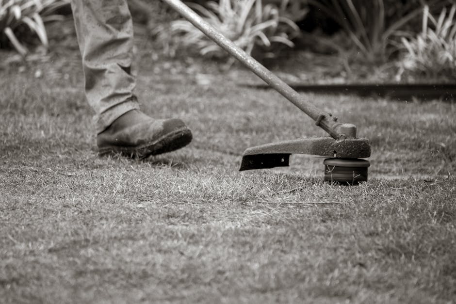 A worker uses a string trimmer to maintain a lawn, focusing on the grass edges outdoors.