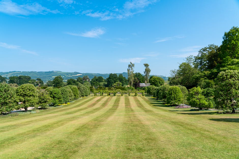 A beautifully manicured garden in Powis, Wales during summer with lush greenery.