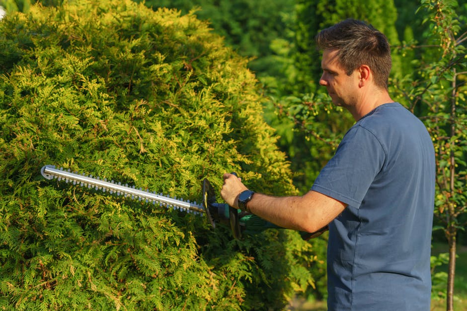 A man uses an electric trimmer to shape a garden hedge, showcasing precise landscaping skills.